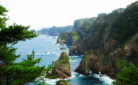 三陸海岸の夏を楽しむ